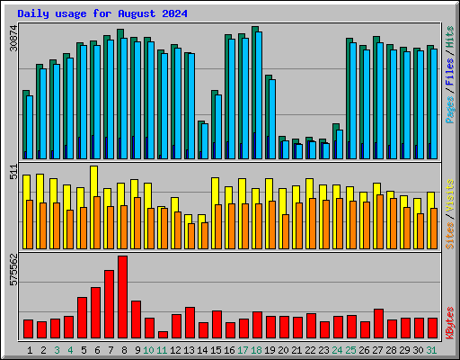 Daily usage for August 2024