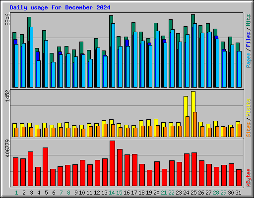 Daily usage for December 2024