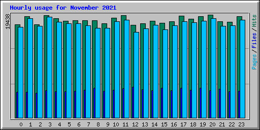 Hourly usage for November 2021