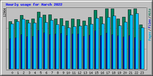 Hourly usage for March 2022