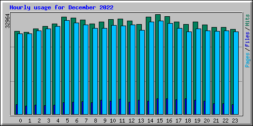 Hourly usage for December 2022