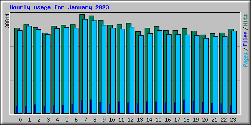 Hourly usage for January 2023