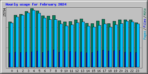 Hourly usage for February 2024