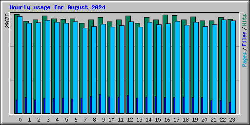 Hourly usage for August 2024