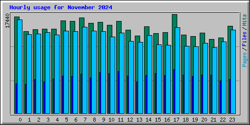 Hourly usage for November 2024