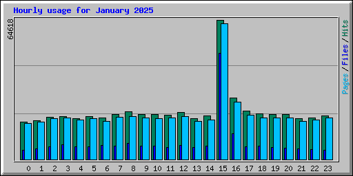 Hourly usage for January 2025