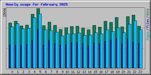 Hourly usage for February 2025