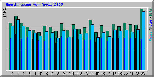 Hourly usage for April 2025