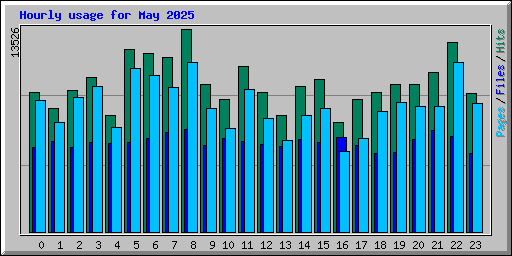 Hourly usage for May 2025