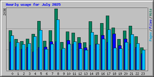 Hourly usage for July 2025