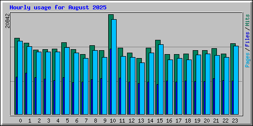 Hourly usage for August 2025