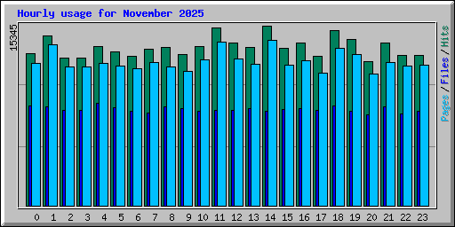 Hourly usage for November 2025