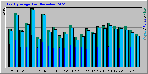 Hourly usage for December 2025