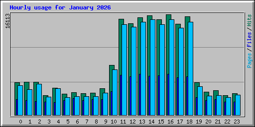 Hourly usage for January 2026