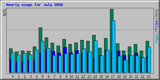 Hourly usage for July 2026