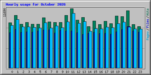 Hourly usage for October 2026
